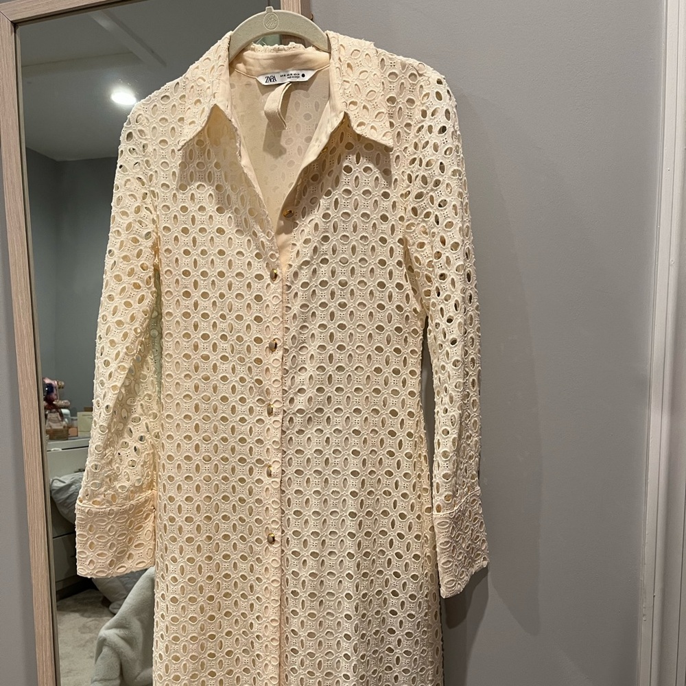 ZARA FITTED OPENWORK EMBROIDERED DRESS